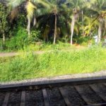 Kerala Through A Hazy Train Window