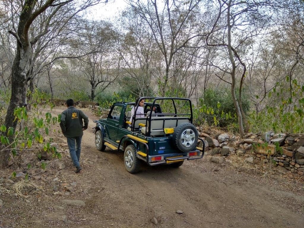 Bala Quila Safari Alwar